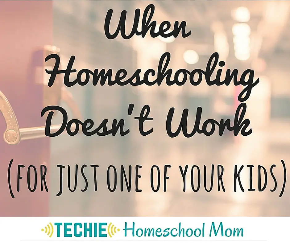 Ten years into homeschooling, all seemed good, except for one big problem. Every day it was becoming more apparent that one of my children was not benefiting from home education. We weren’t reaching our goals for homeschooling and needed to make a change. Read to discover how it worked out.