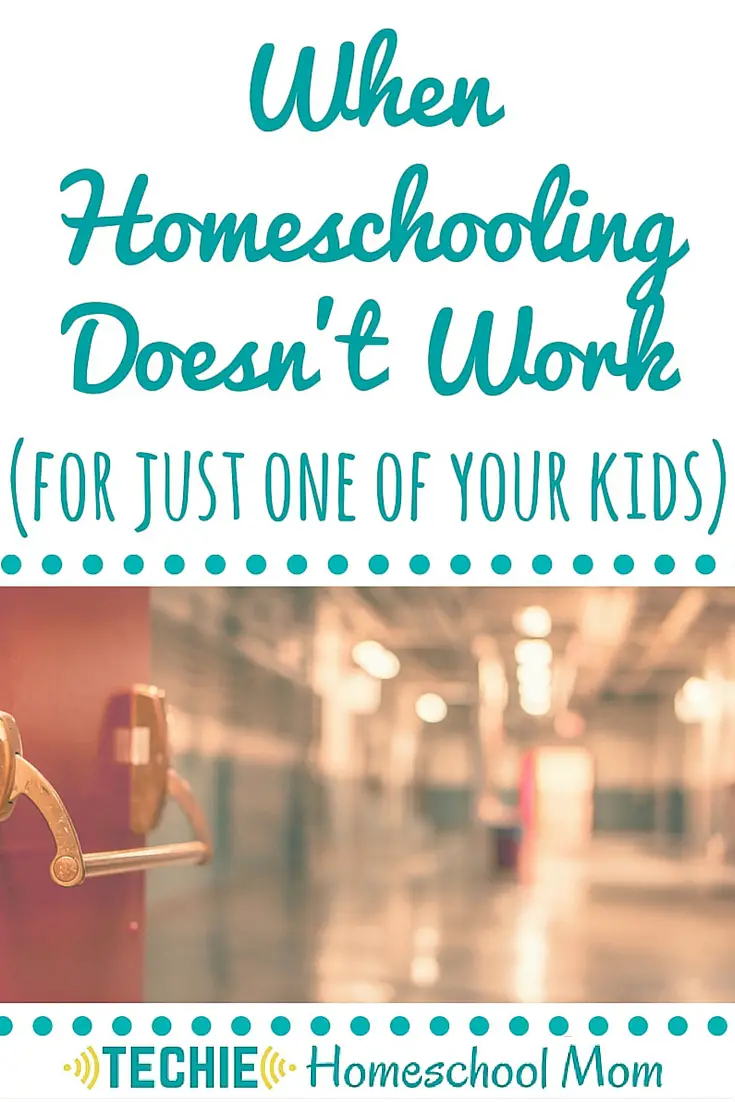 Ten years into homeschooling, all seemed good, except for one big problem. Every day it was becoming more apparent that one of my children was not benefiting from home education. We weren’t reaching our goals for homeschooling and needed to make a change. Read to discover how it worked out.