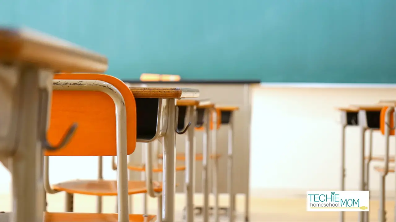 Ten years into homeschooling, all seemed good, except for one big problem. Every day it was becoming more apparent that one of my children was not benefiting from home education. We weren’t reaching our goals for homeschooling and needed to make a change. Read to discover how it worked out.