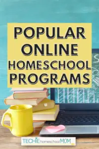 With so many choices for online education programs, it's hard to choose the best one for your family. Maybe one of these recommended programs will work for you.