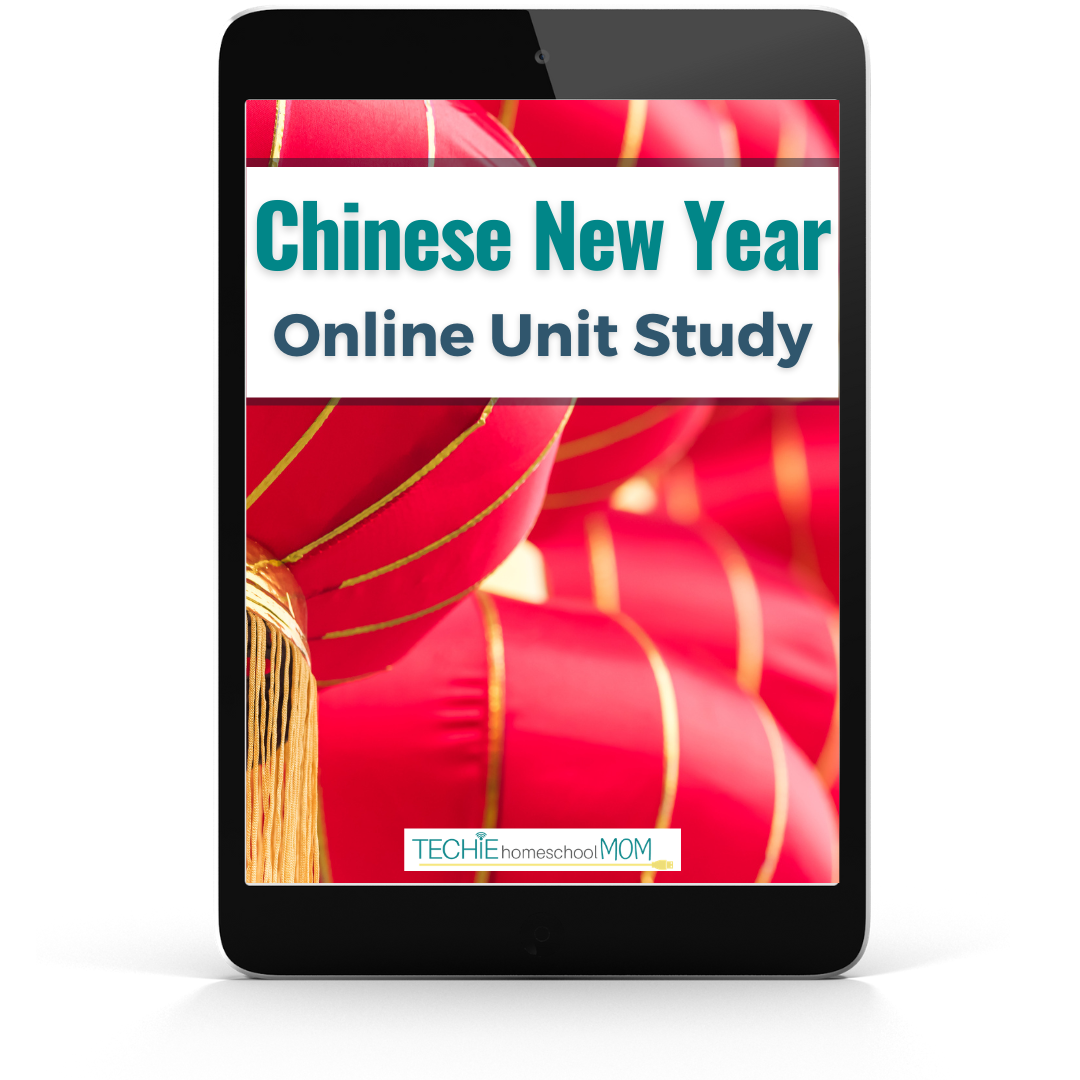 chinese-new-year-essay-demografie-netzwerk-frankfurtrheinmain