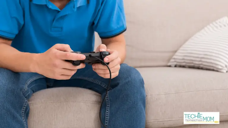 How to Use Popular Video Games for Homeschooling