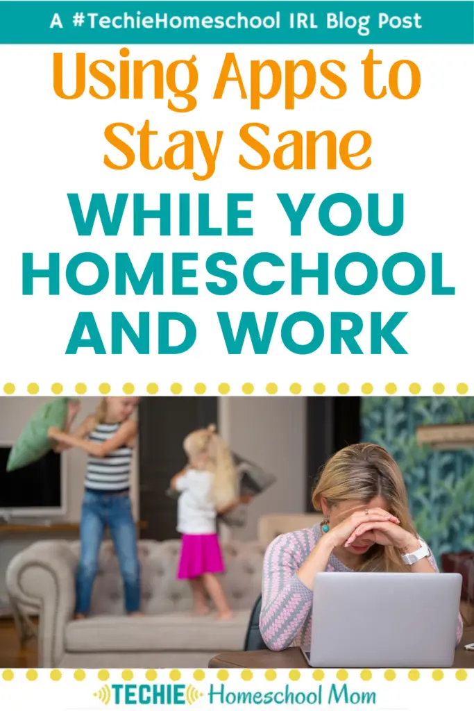 Wow! These are some great ideas for keeping your family organized if you're a working homeschoool mom (or even NOT a working homeschool mom)