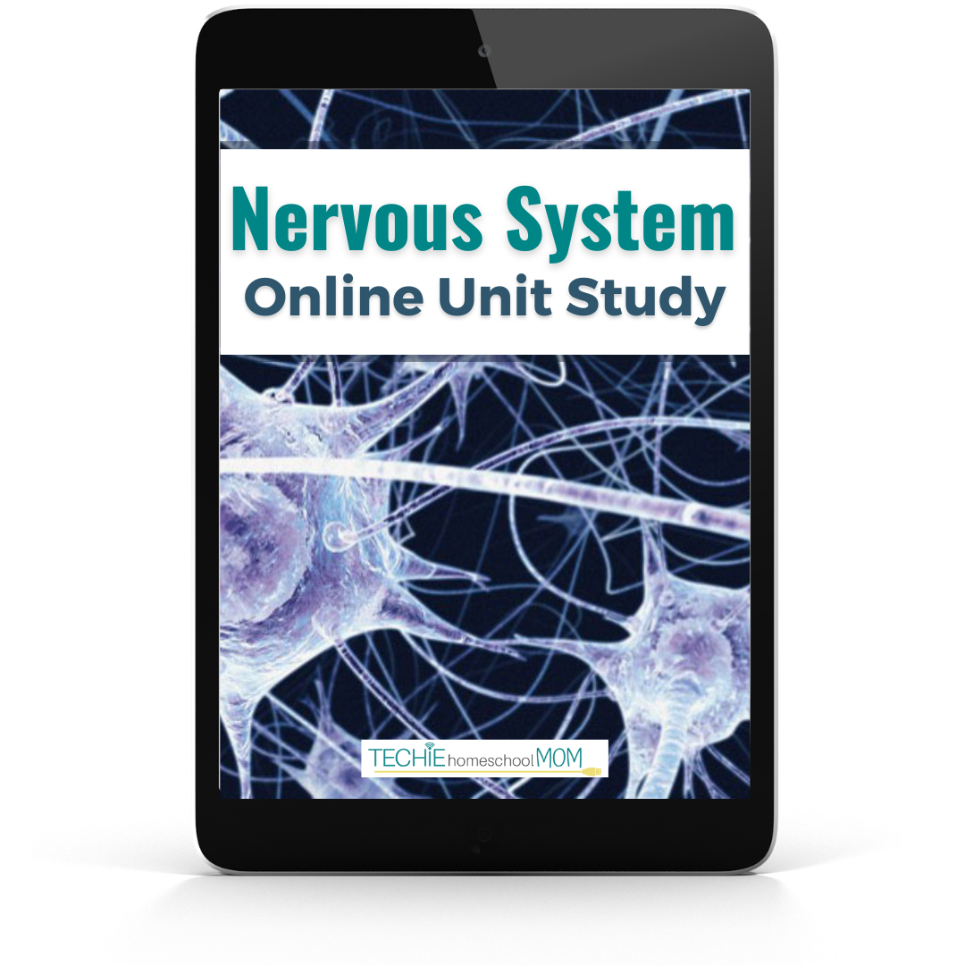 Nervous System Unit Study