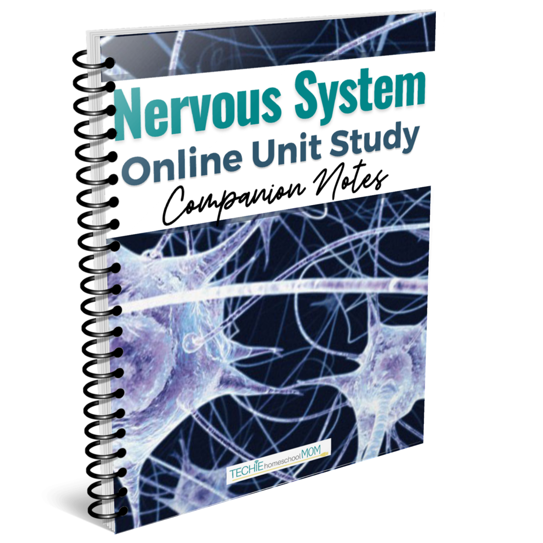 Nervous System Companion Notes